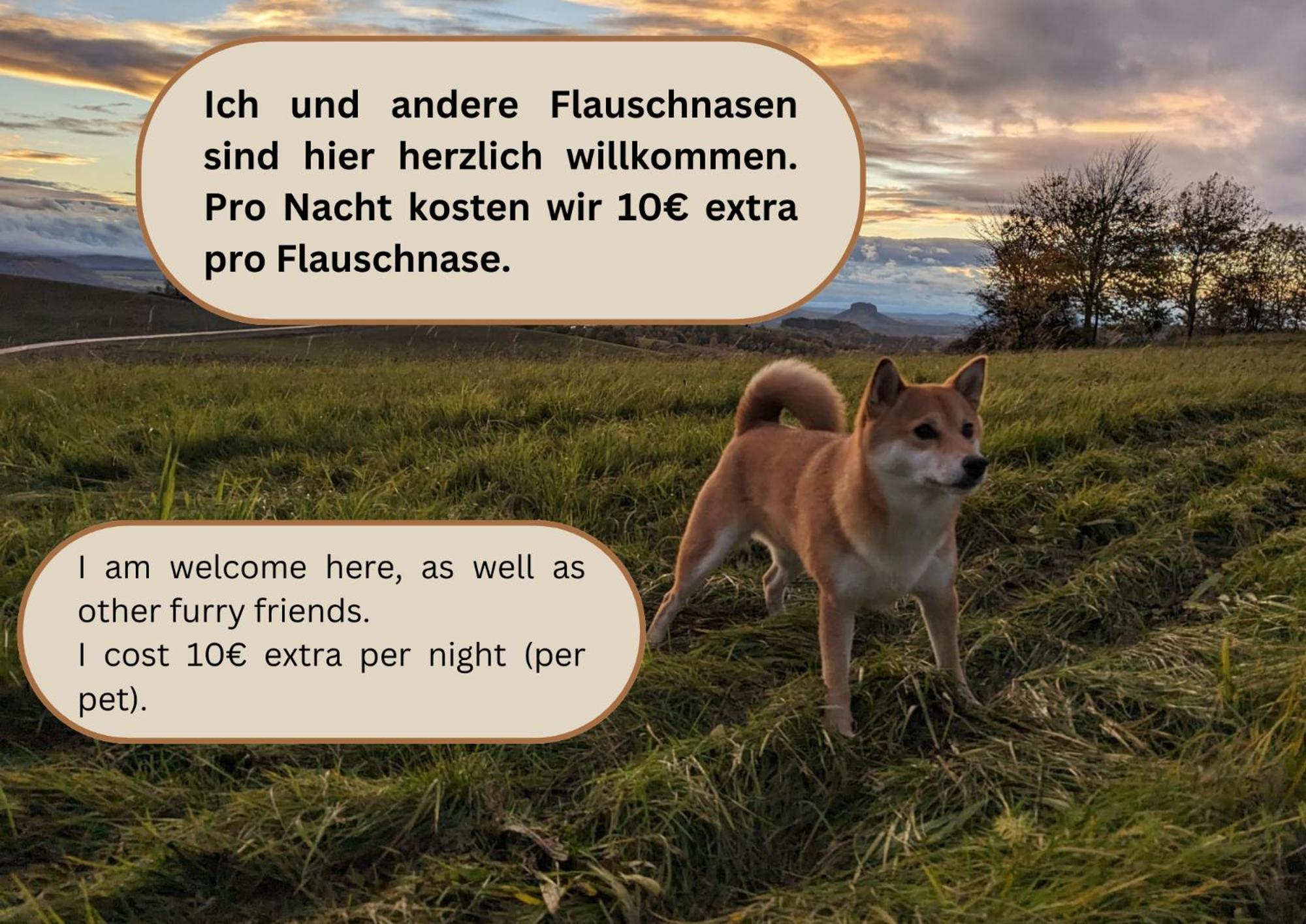 S3 - Urlaubsmagie - Fuer 4P Mitten Im Elbsandsteingebirge Зебніц Екстер'єр фото